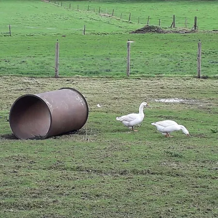 Het Neerhof Alojamento de Turismo Rural *
